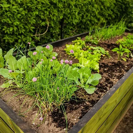 Jada Goscie Penzion Piasek (Pszczyna)