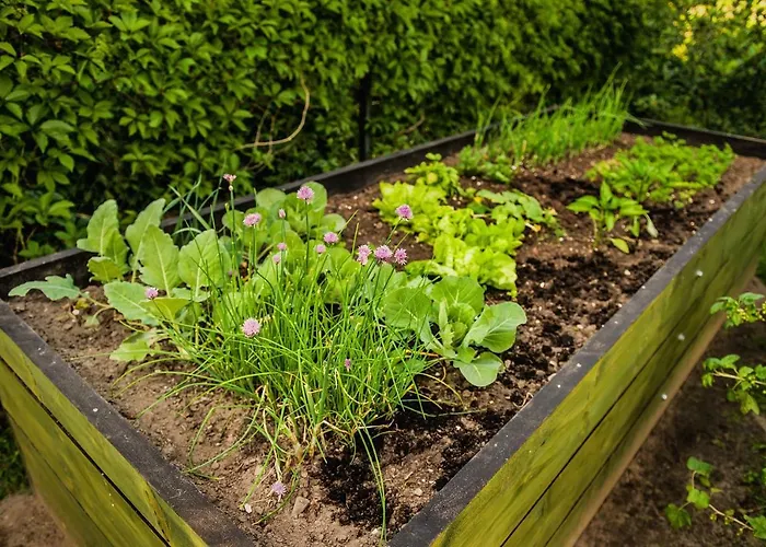 Jada Goscie Гостевой дом Piasek (Pszczyna)